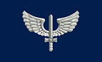 Logo oficial da Força Aérea Brasileira, instituição militar responsável pela defesa do espaço aéreo e carreiras técnicas