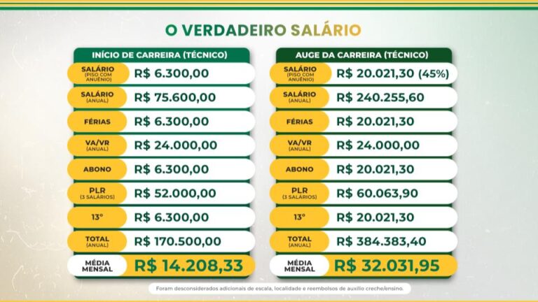 Concurso Técnico da Petrobras: Guia Completo para Aprovação ...
